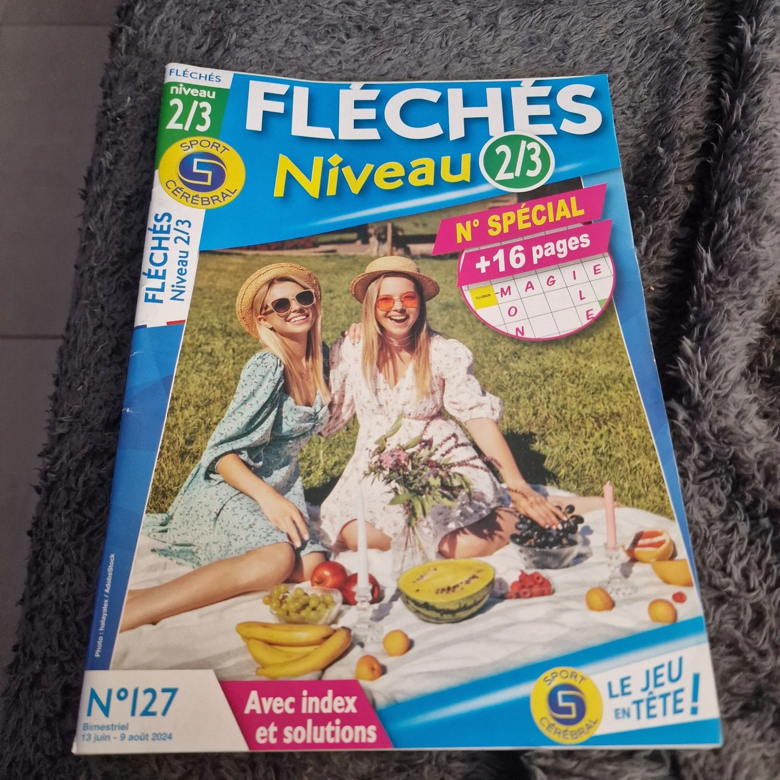 Mot fléchés niveau 2/3